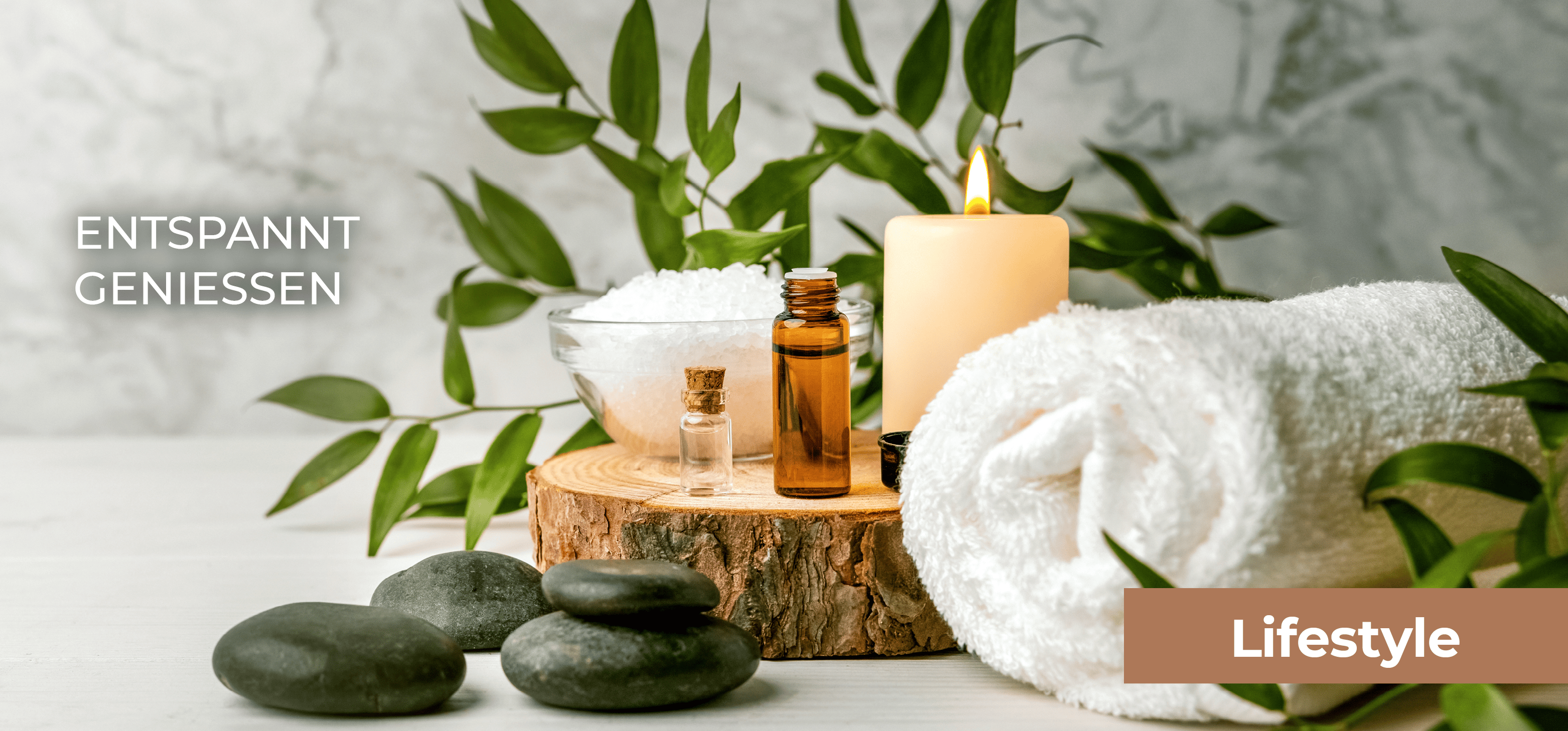 Wellnessmesse Desktop