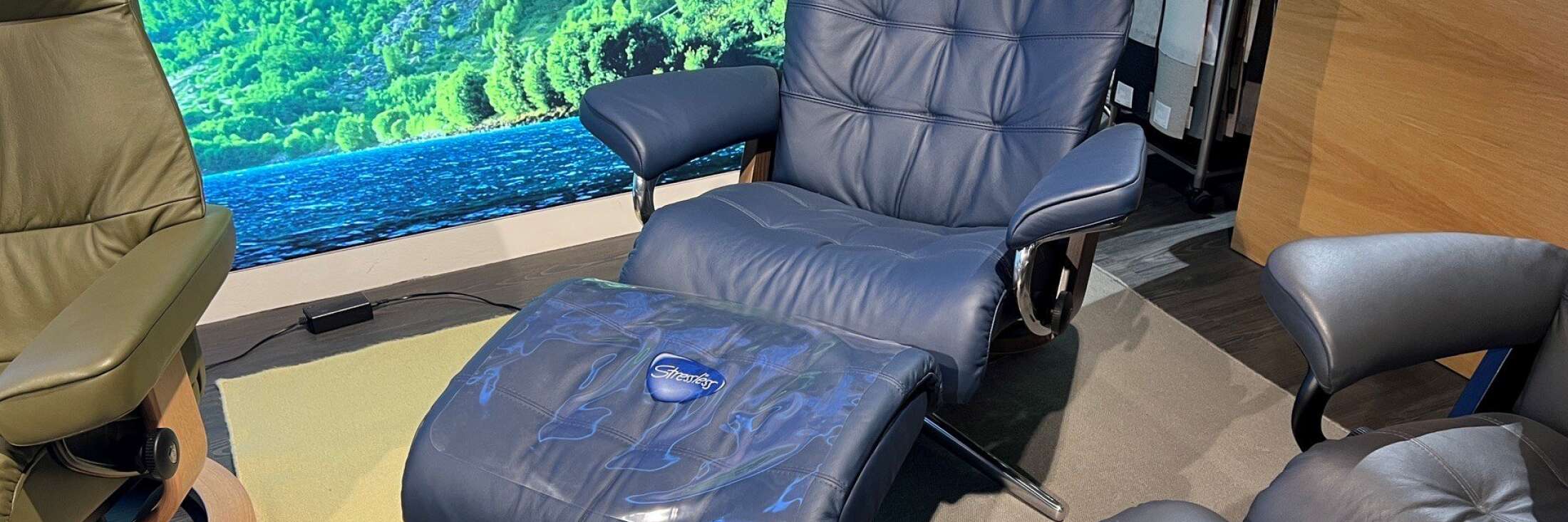 Ekornes Erik