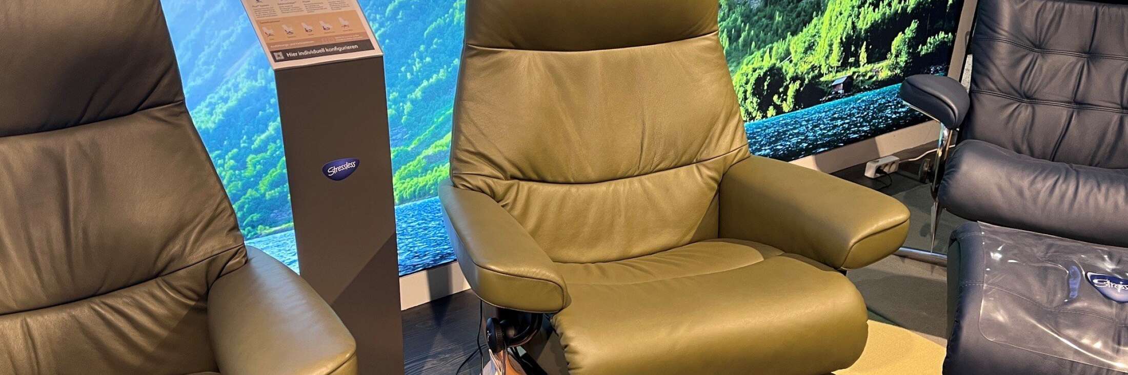 Ekornes View Power