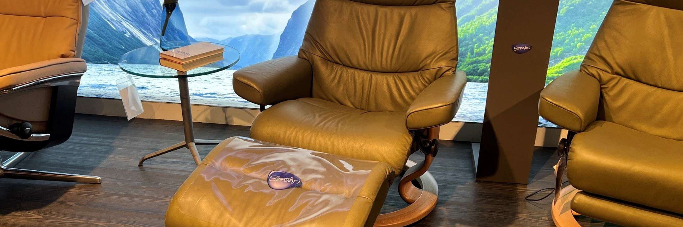 Ekornes View